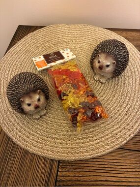 Decorative Hedgehog Figurine Pair - Brown & 1 pkg Fall Scatter/Filler